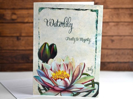 Flower of the month Card Waterlily July |  Yesterday's Best