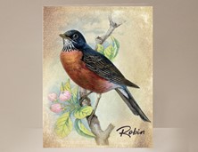 View Robin Card