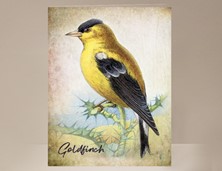 View Goldfinch Bird Greeting Card