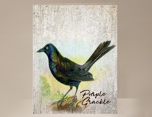 View Purple Grackle Wild Bird Card
