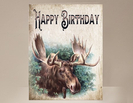 Moose Birthday Card | Yesterday's Best